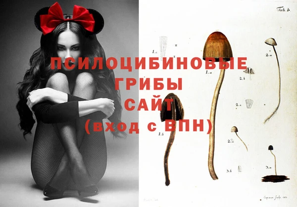 прущий лед Белоозёрский