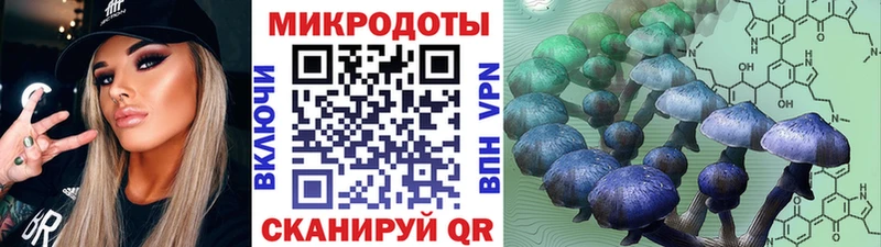 Псилоцибиновые грибы MAGIC MUSHROOMS  даркнет сайт  Чернушка 
